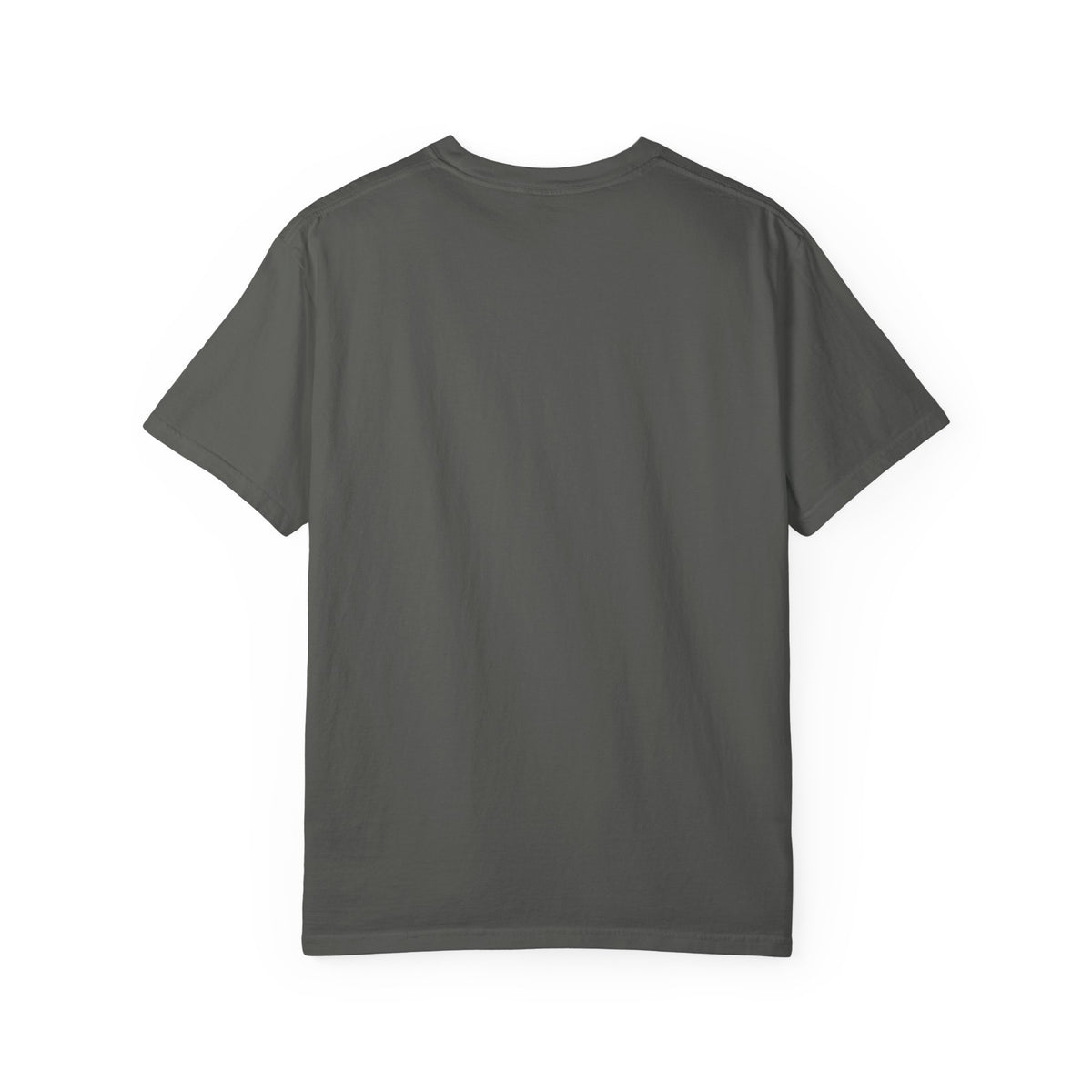 Albuquerque Indigenous T-Shirt — Simple Circle Mountain & Tree Tee